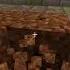 AMAZING BUG IN MINECRAFT