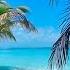 Relaxing Beach Pan Flute Music And Nature