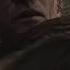Leon Gets Backup Resident Evil 4 2004