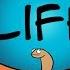Characteristics Of Life