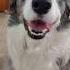 Zoey Says Thanks For The Super Thanks
