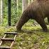 The Day Bears Almost Killed Me My Underground House Saved My Life