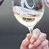 The Wines Of Navarra Spain