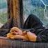 Camping In Heavy Rain With My Dog 360 Panorama View Inflatable Tent Thunder Lightening ASMR