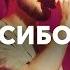 Спасибо Бог I Thank God Денис Динов Live