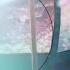 Cupid Nightcore