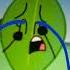 PBS Crying