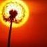 Brian Crain Symphony No 1 Adagio Con Amore