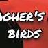 Noel Gallagher S High Flying Birds Come On Outside Traducida Al Español