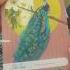 Set Forth With Confidence Today S Card Cast Is With The Wise Earth Medicine Tarot By Weiser Books