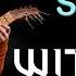 Priscila S Song 2 Hours Extended The Wolven Storm The Witcher 3 Mankai Music And Ambience