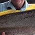 Lake Fishing BASICS Classic Tips Techniques