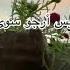 Mustafa Mustafa Nasheed By Mishari Rashid Al Afasy