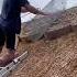 Use Straw To Build The Roof Warm In Winter And Cool In Summer And Environmentally Friendly