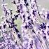 Amethystium Ethereal Best Relaxing Electronic Music