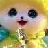 Mustafa Mustafa Beautiful NAAT Cute Hasbirabi Cat