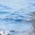 Dradu Fishing On Klein Curacao With Just Us