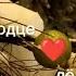 Растопи на сердце лёд Елена Жукова Авторская песня гитара растопинасердцелёд ЕленаЖукова 2022