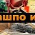 Делаем кашпо из досок Заливаем дорожку Обустройство заднего двора америка влог