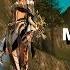 Lineage 2 Mystic Muse PvP L2Toxic X50 October
