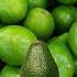 Avocado Baby OMG So Cute Shorts Avocadotemplate Meme Asmr Fruit Fyp Jennyalagon
