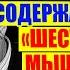 Краткое содержание книги Шесть шляп мышления Эдвард де Боно