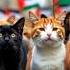 Brave Cats Of Palestine AI Animated Emotional Resistance Story Mahmuda AI World Shorts2025