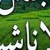 اجمل الأناشيد الاسلامية هادئة بدون ايقاع BEST ANACHIDS MUSLIM