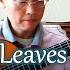 The Green Leaves Of Summer The Brothers Four Guitar Fingerstyle Cover