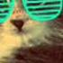 Alina When You Leave Numa Numa Basshunter Remix