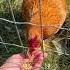 Chicken Feeding Rajputfamilyvlog Bepositive Entertainment Enjoy Aliya Adrian Love
