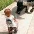 Cute Baby Kalabaw
