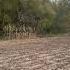 Cleaning Up Field Property Lines Vid1