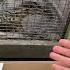 Don T Tease Your Lizards With Eggs Asianwatermonitor Watermonitor Monitorlizard Reptiles