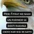 Attitude Status Shayari Fitrat Shayari Shorts Attitudestatus Viral Trending