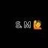 S Morteza