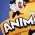 Animaniacs 2020 Intro En Español HBO Max