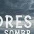Sombr Undressed 8D Audio