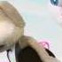 Talking Angela Official Trailer