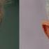 Details From Trump S Meeting With Federal Reserve Chair Jerome Powell
