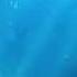 The Little Mermaid 2023 Poor Unfortunate Souls Russian LQ