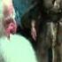 The Hobbit Tribute