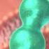 How A Pain Killer Actually Works 3danimation Painkiller Painrelief