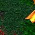 DOTA TROLL WARLORD Vs SHADOW FIEND TROLL IS KILLING MACHINE