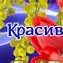 С праздником 8 Марта Я посвятить хочу тебе слова Самая Красивая и Нежная Песня 8Марта