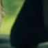 Amber Alert Trailer 1 2024