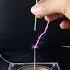 Music Tesla Coil Experiment Vegetables