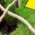 Boy Discovers Hole In Garden One Day Later Both His Parents Are Arrested
