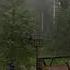 CALM YOUR MIND WITH RAIN SOUND PEACEFUL PIANO LULLABAY AND BEAUTIFUL BIRD SOUNDS