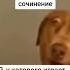 ту тутутуту мем прикол ава